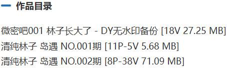 清纯林子 – 微密圈/岛遇等写真&视频合集【持续更新中】-2